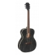 J.N GUITARS GT.AC AUDI-ACAJOU MASS DOGHAIR