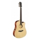 J.N GUITARS GT.E/A DREA CW-SYST.RV EPI/ACA