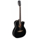 J.N GUITARS GT.E/A AUDIT CW-EPICEA MS/SAPE