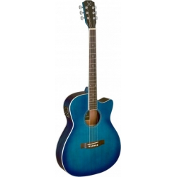 J.N GUITARS GT.E/A AUDIT CW-EPICEA MS/SAPE