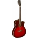 J.N GUITARS GT.E/A AUDIT CW-EPICEA MS/SAPE