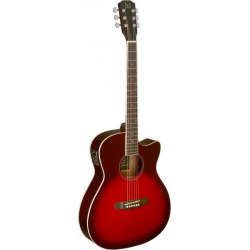 J.N GUITARS GT.E/A AUDIT CW-EPICEA MS/SAPE