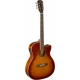 J.N GUITARS GT.E/A AUDIT CW-EPICEA MS/SAPE