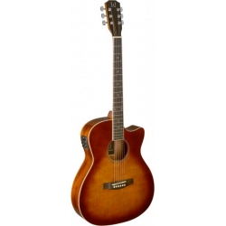J.N GUITARS GT.E/A AUDIT CW-EPICEA MS/SAPE