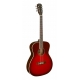 J.N GUITARS GT.AC AUDIT EPICEA MAS TR.ROUG