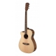 J.N GUITARS GT.E/A AUDI CW EPIC-ACJ GAUCHE