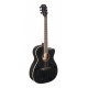 J.N GUITARS GT.E/A AUD CW-ACAJ MAS DOGHAIR