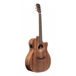J.N GUITARS GT.E/A AUDIT CW-ACAJ MAS/ACAJ