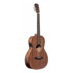 J.N GUITARS GT.E/A PARLOR-ACAJOU MAS/ACAJ
