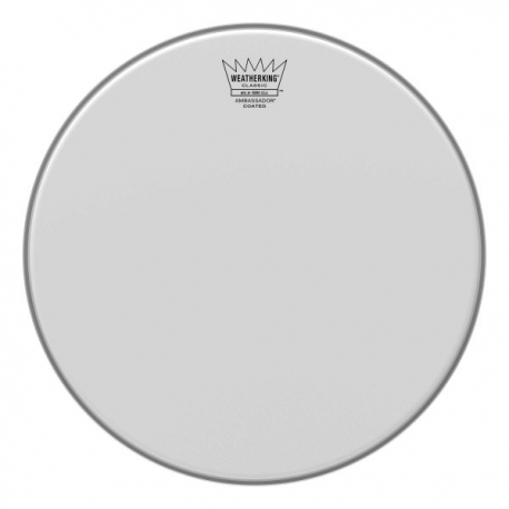 REMO 13" CLASSIC FIT AMBASS.SABLEE