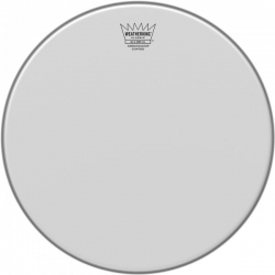 REMO 14" CLASSIC FIT AMBASS.SABLEE
