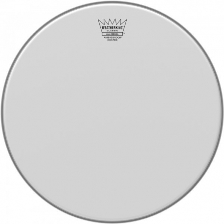 REMO 14" CLASSIC FIT AMBASS.SABLEE
