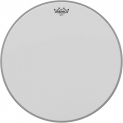 REMO 20" AMBASSADOR SABLEE G.CAISSE