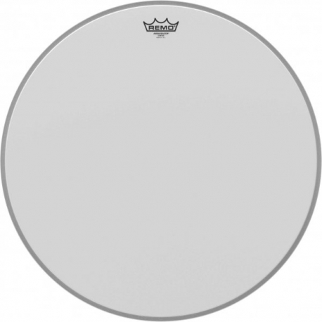 REMO 22" AMBASSADOR SABLEE G.CAISSE