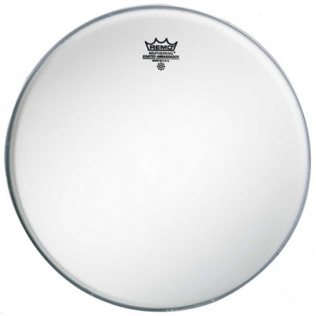 REMO 12" PRE-INTL AMBASSADOR SABLEE