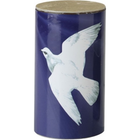 REMO 4x2.25" PRAISE SHAKERS DOVE