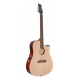 RIVERSONG E/A DREAD GT CW-SITKA/MAPLE N