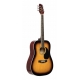 STAGG GT.AC.DREADNOUGHT-SNB