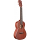 STAGG UKULELE CONCERT-ACAJ MAS-ACAJ
