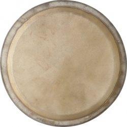 STAGG PEAU POUR CONGA PCW-9