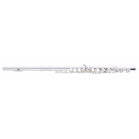 STAGG FLUTE TRAV.UT,MI MEC+SOFT CASE