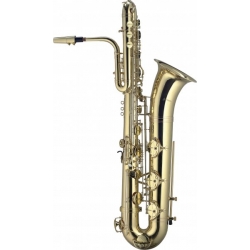 STAGG BASS SAXOPHONE,WITH LIGHT CASE