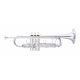 STAGG Bb TRUMPET SILVER,LEADP GOLDBR