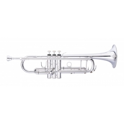 STAGG Bb TRUMPET SILVER,LEADP GOLDBR