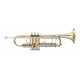 STAGG Bb TRUMPET, LEADPIPE GOLDBRASS