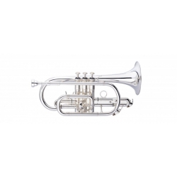 STAGG Bb CORNET,SILVER PLATED+SC .