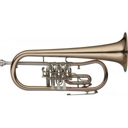 STAGG BUGLE CONCERT Sib GOLDBRASS