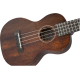 GRETSCH G9110-L A.E. Concert Long-Neck Ukulele with Gig Bag, Ovangkol Fingerboard, Fishman® Kula Pickup, Vintage Mahogany Stain