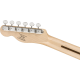 SQUIER Paranormal Carbronita Telecaster® Thinline, Maple Fingerboard, Olympic White
