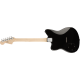 SQUIER Paranormal Toronado®, Laurel Fingerboard, Black