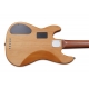 Marcus Miller P10 ALDER-5 NT 2.0