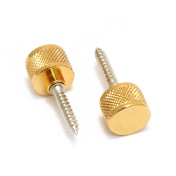 GRETSCH Strap Buttons, Most Gretsch® Guitars, with Mounting Hardware, Gold (Pair)