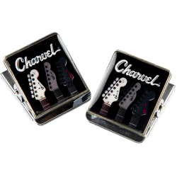 CHARVEL Charvel® Toothpaste Logo Clip Magnets (2-Pack)