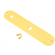 FENDER Vintage Telecaster® Control Plate, 2-Hole (Gold)