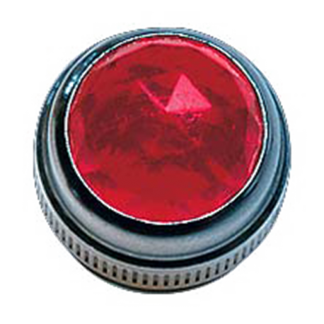 FENDER Pure Vintage Red Amplifier Jewel (1)