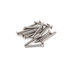 FENDER Bass/Telecaster® Bridge/Strap Button Mounting Screws, Phillips-Head, Chrome, (12)