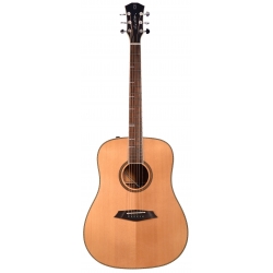 LARRY CARLTON A4 DS NAT