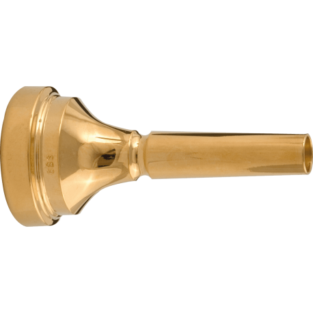 DENIS WICK Saxhorn baryton Classic plaquée or 9