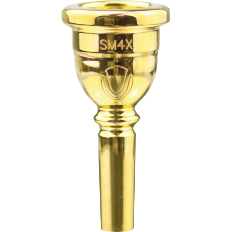 DENIS WICK Euphonium Steven Mead Ultra plaquée or 3X
