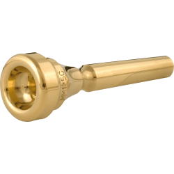 DENIS WICK Cornet Classic plaquée or 4