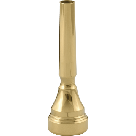 DENIS WICK Trompette Classic plaquée or 5