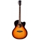 LARRY CARLTON A4 GS VS