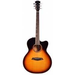 LARRY CARLTON A4 GS VS