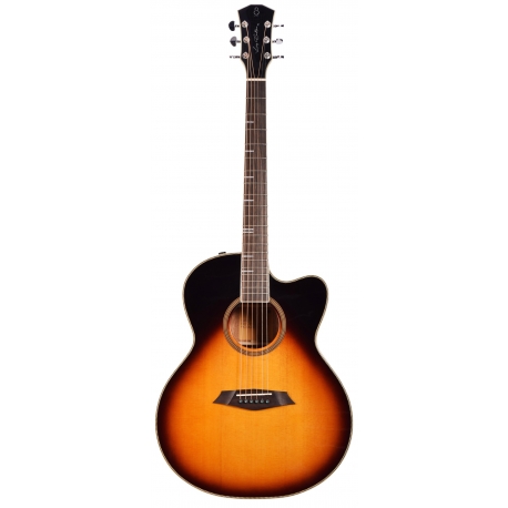LARRY CARLTON A4 GS VS