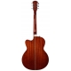 LARRY CARLTON A4 GS VS