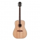 LARRY CARLTON A3 DS NAT